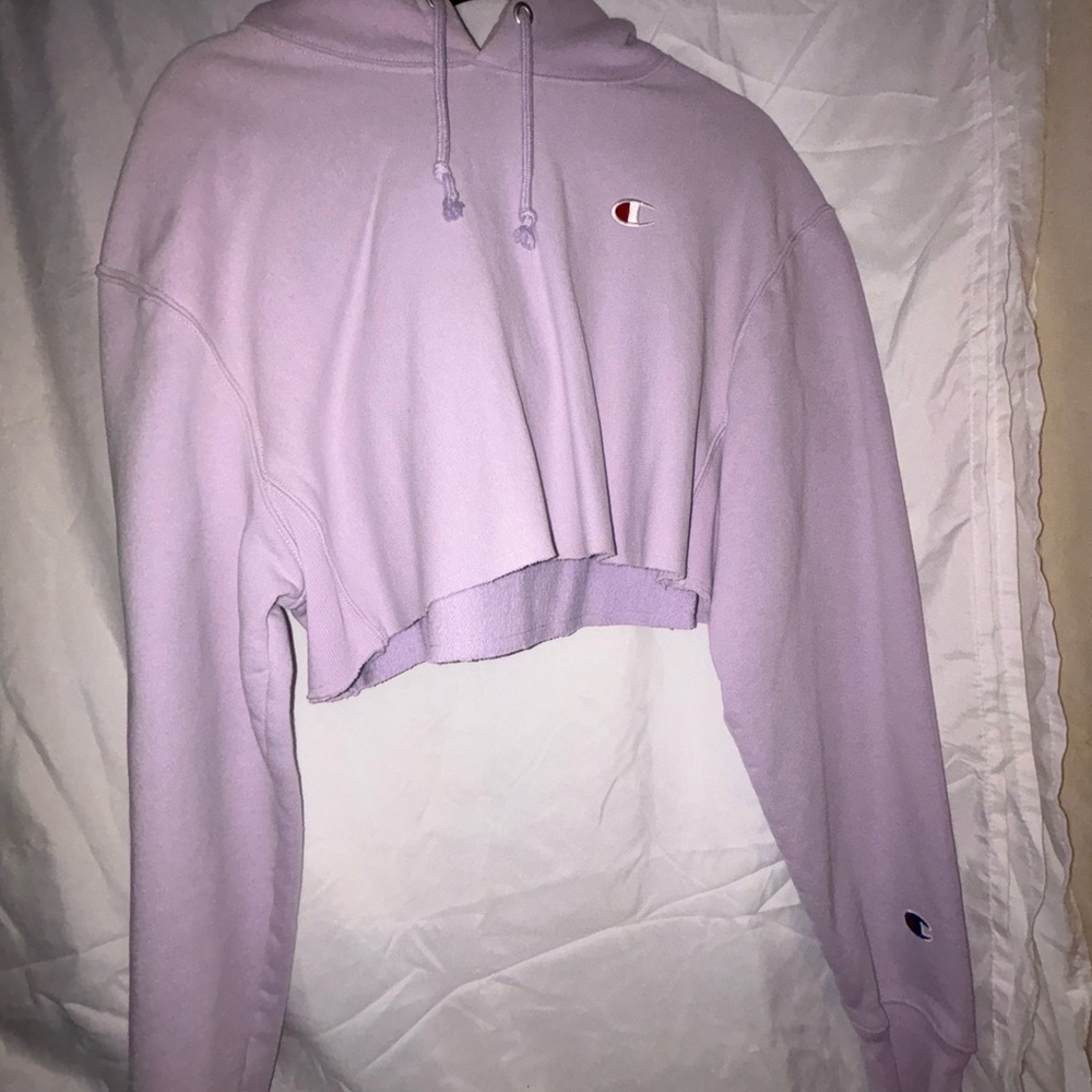 Purple cropped champion hoodie